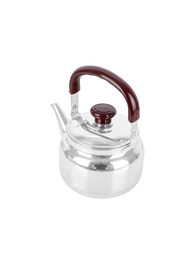alghafa, Teapot, Stainless Steel, 1 Liter, Plastic Handle - Image 5